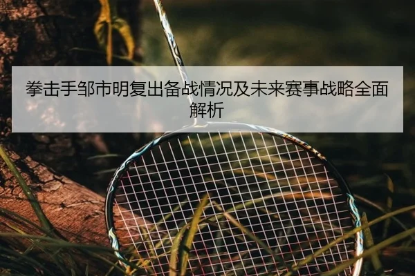 拳击手邹市明复出备战情况及未来赛事战略全面解析 | STAR SPORTS