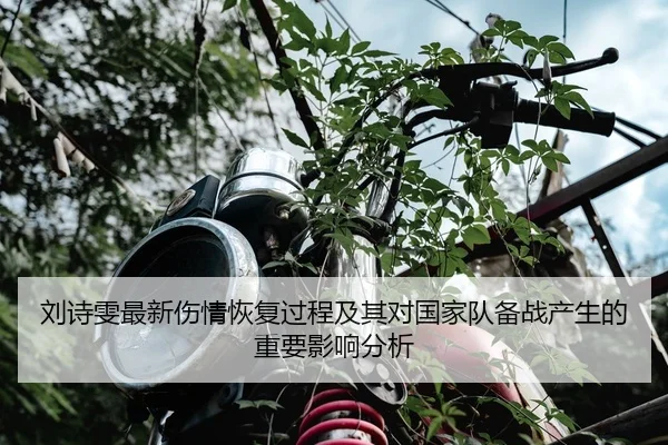 刘诗雯最新伤情恢复过程及其对国家队备战产生的重要影响分析 - STAR SPORTS